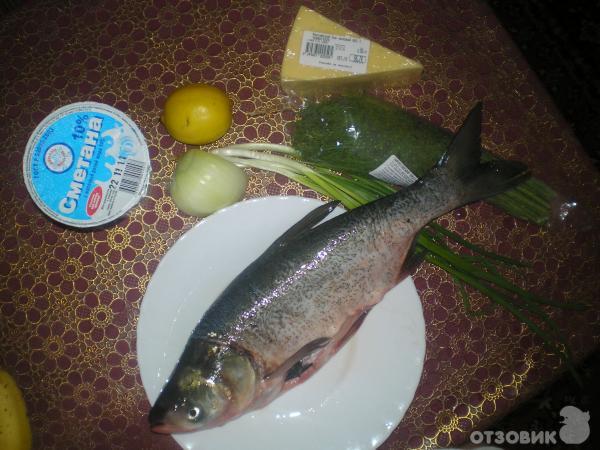 Рецепт *Рыба запеченная в сметане* фото