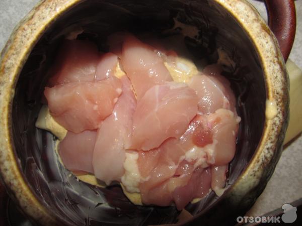 Рецепт приготовения курицы с грибами в горшочках фото
