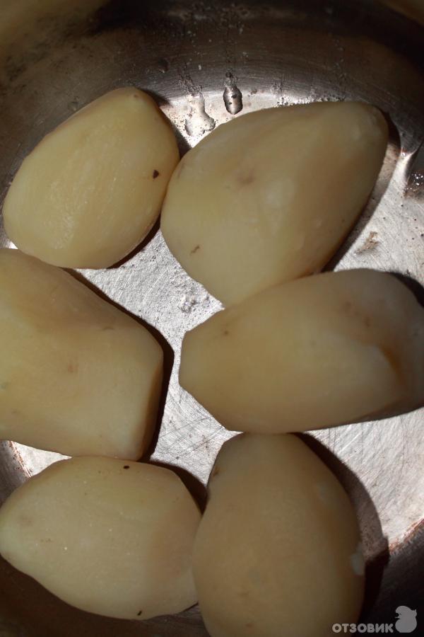 Рецепт Домашние чебуреки с картошкой и грибами фото