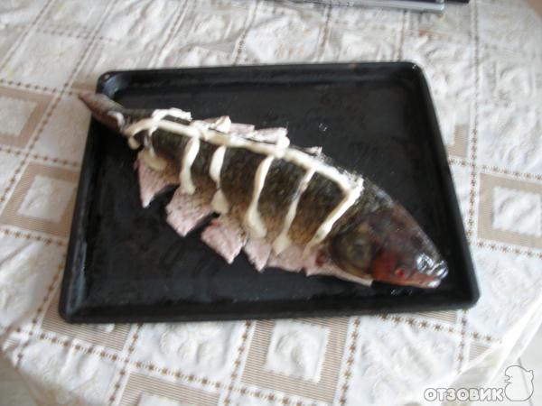Рыба, запеченная под майонезом с чесноком 🐠 - рецепт с фотографиями - Patee. Рецепты
