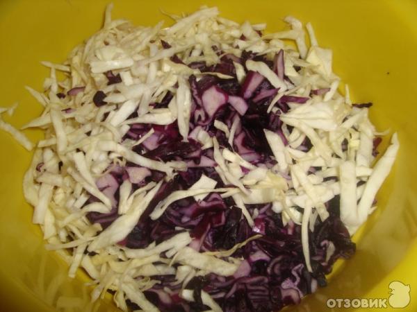 Сочный салат с капустой, чесноком и помидорами