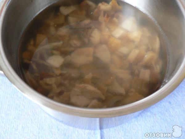 Запеканка из соленых грибов и картофеля