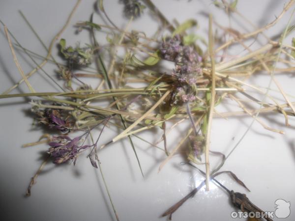Рецепт Зеленый чай из натуральных компонентов фото