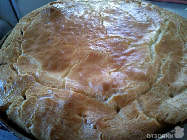 Рецепт мясного пирога Пальчики оближешь фото