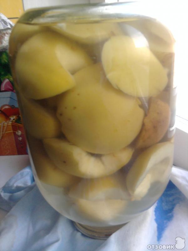Рецепт закатки молодильные яблочки фото