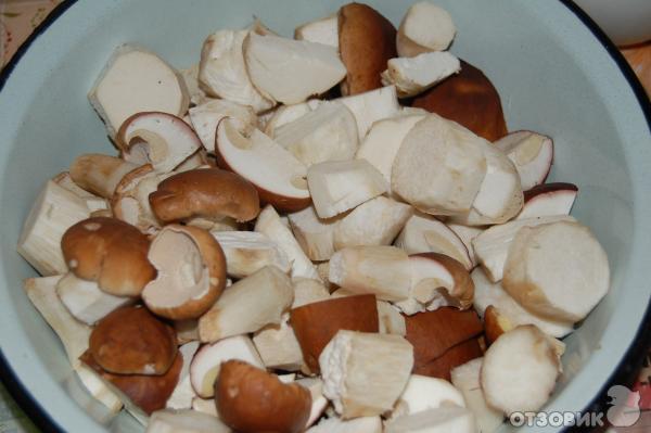 Белые грибы 