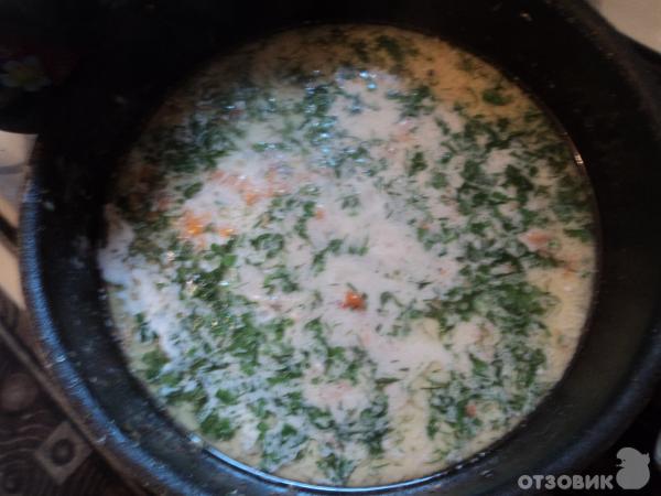 Рецепт Курица с грибами в сметанном соусе фото