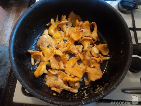 Рецепт Курица с грибами в сметанном соусе фото