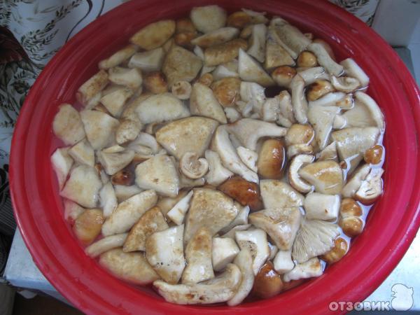Рецепт заготовки грибов на зиму фото