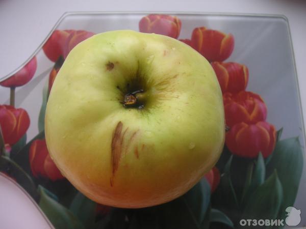  Ежик из яблок, процесс приготовления 