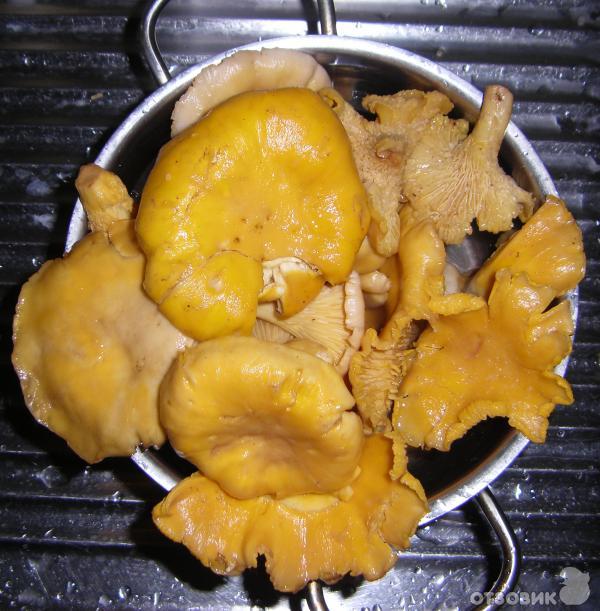 Жареные грибы лисички