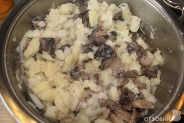 Рецепт Рагу с говядиной и грибами и овощами фото