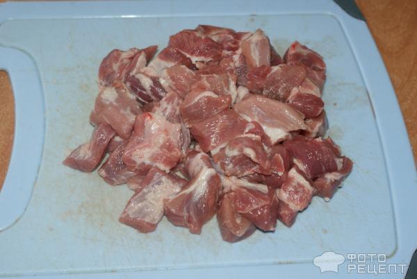 Рецепт Тушеная свинина с овощами фото