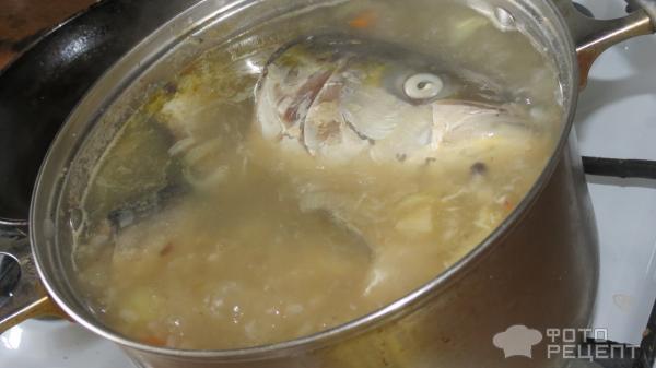 Суп из консервированного тунца