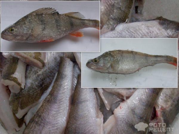 Рецепт Рыбные котлеты из окуня фото