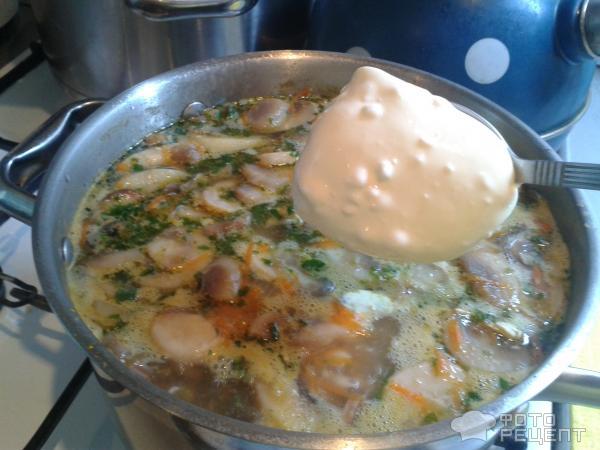 Рецепт Сырный суп с курицей и шампиньонами фото