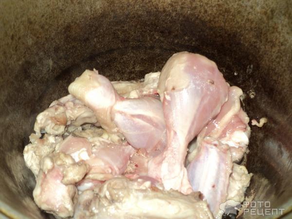 Рецепт Курица в молочном соусе фото
