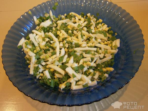 Рецепт Зразы из лосятины с яйцом, зеленым луком и белым грибным соусом фото