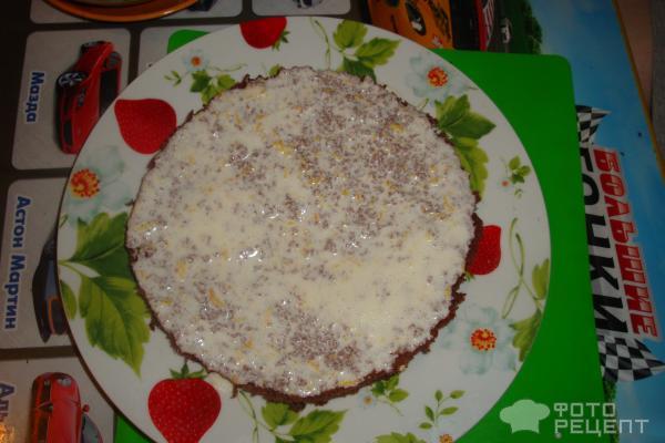 Рецепт торта Панчо фото