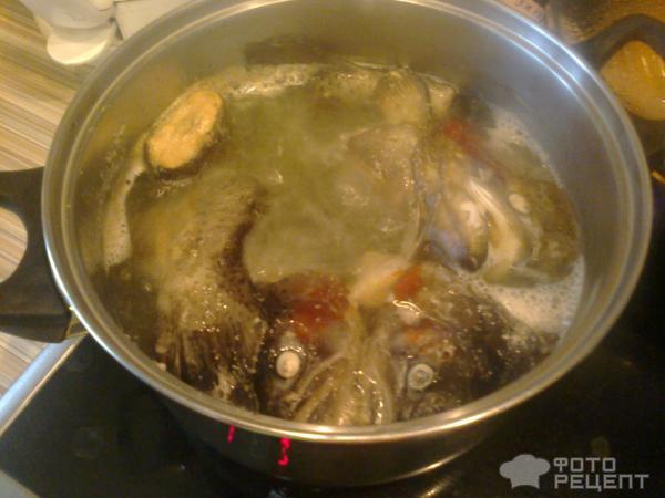 Рецепт Уха из форели фото