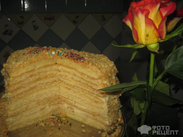 Рецепт торта Творожная сказка фото