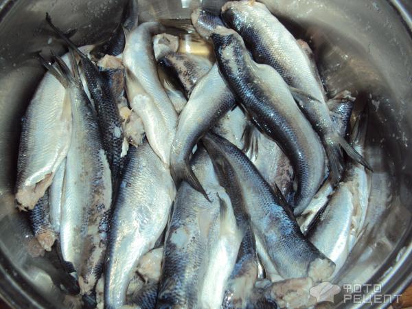 Рыба по-карельски - пошаговый рецепт с фото на Готовим дома