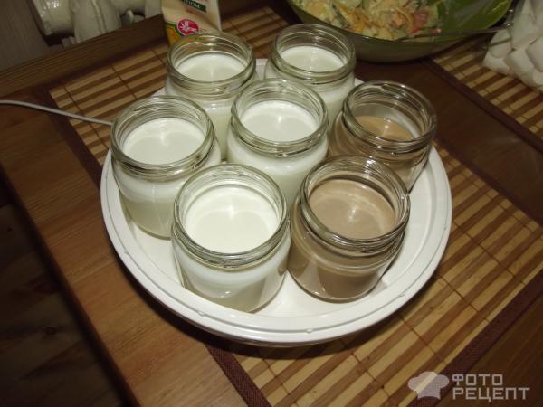 Рецепт натурального йогурта фото