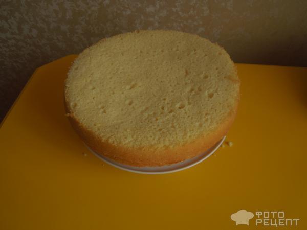 Рецепт Бисквитный торт фото