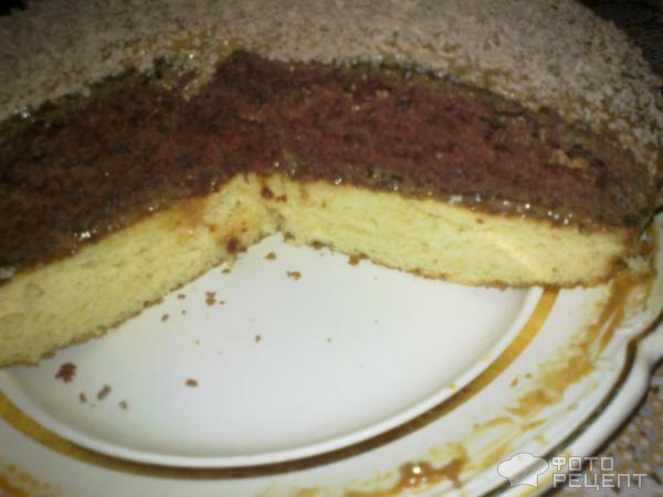 Рецепт торта День и ночь фото