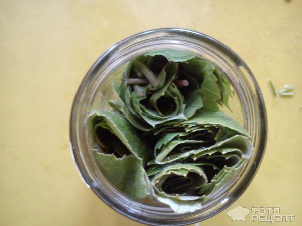 Рецепт Виноградные листья для толмы на зиму фото