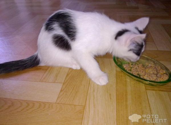 Кушает