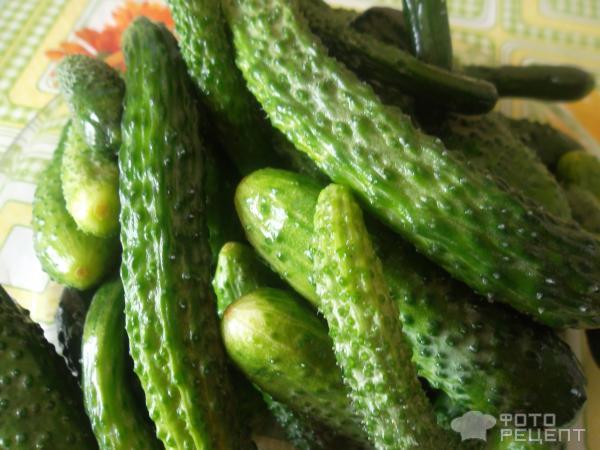 Рецепт Огурцы маринованные в томатном соусе фото
