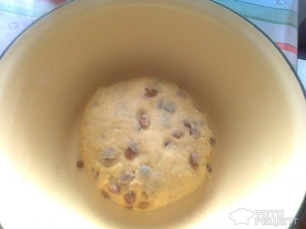 Рецепт Песочное печенье с изюмом фото