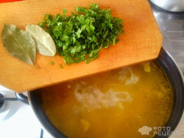 Рецепт Суп с куриными желудочками фото