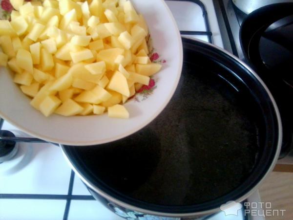 Рецепт Суп с куриными желудочками фото
