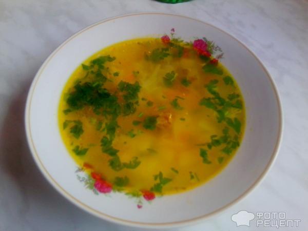 Рецепт Суп с куриными желудочками фото