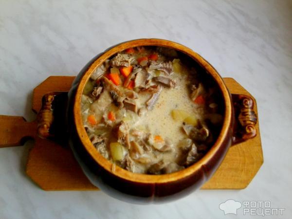 Рецепт Куриные желудочки с овощами и грибами в сметане фото