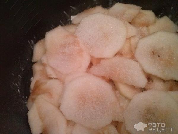 Шарлотка с яблоками в мультиварке Panasonic: особенности приготовления и 3 рецепта