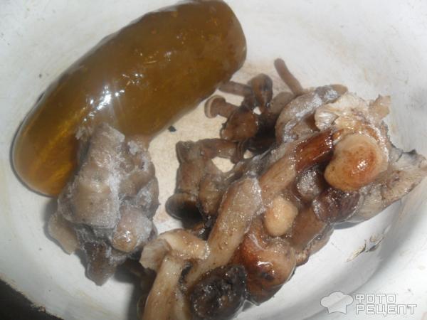 Рецепт Куриная печень с грибами и соленым огурцом фото