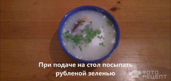Рецепт Рыбный суп из карпа фото