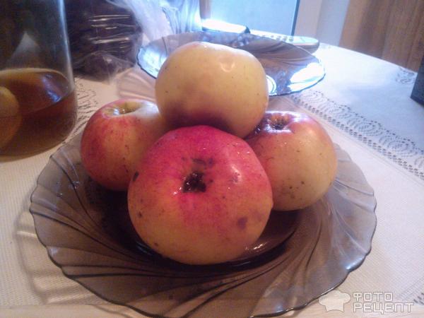 Шарлотка с яблоками фото