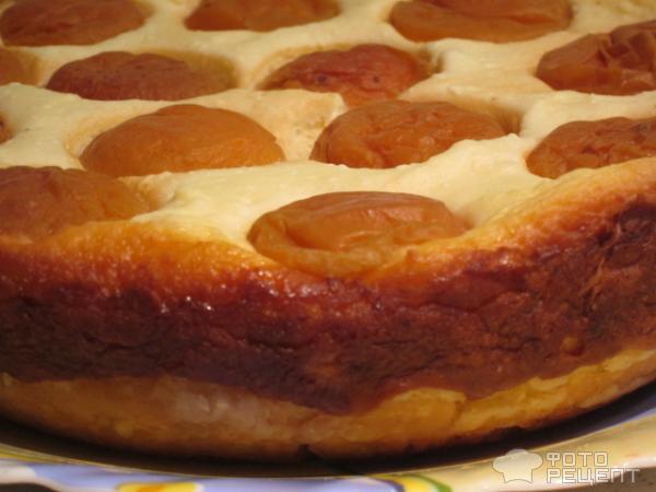 пирог с творогом и абрикосами