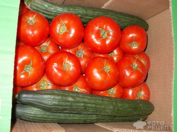 Вяленные томаты фото