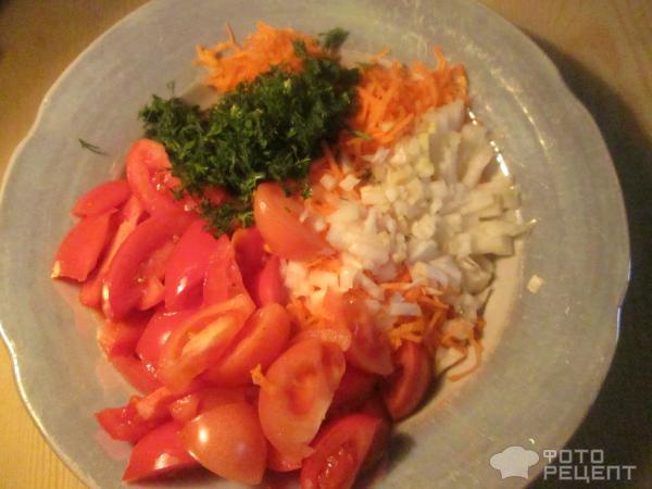 Салат из помидоров, моркови и проросших зерен фото