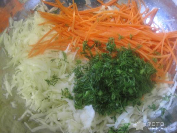 капуста укроп морковка