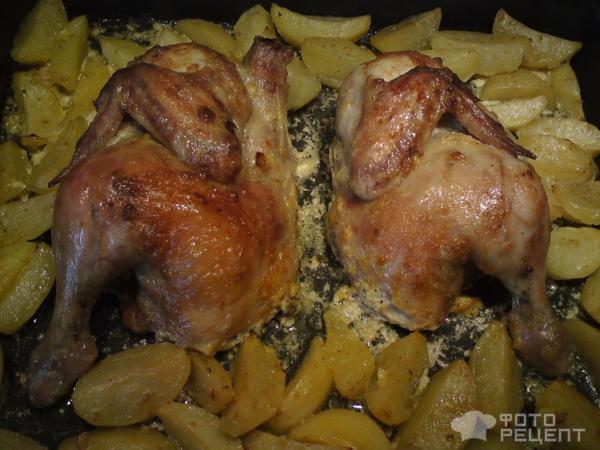 Курица с картошкой запеченная в духовке фото