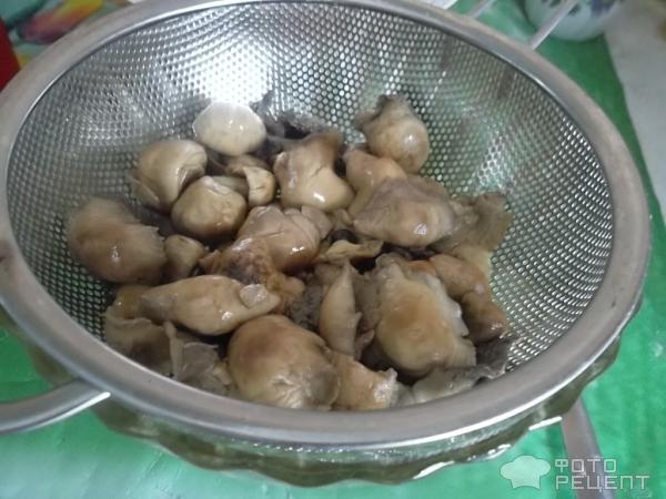 Картошка тушеная с грибами фото