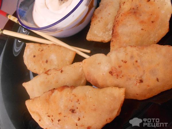 Японские пельмени Гедза фото