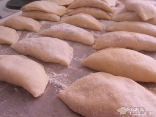 Японские пельмени Гедза фото