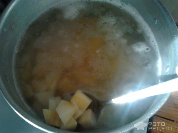 картофель